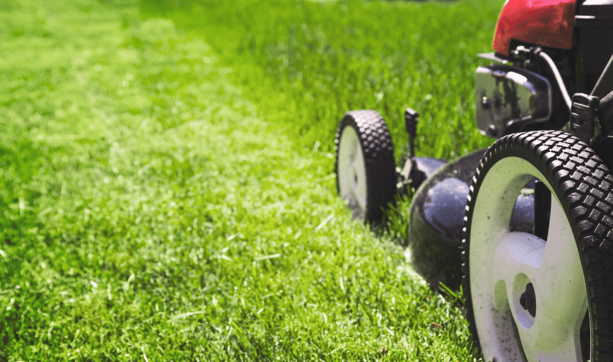 LAWN MOWING